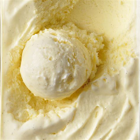 Best Vanilla Ice Cream Viii Recipes