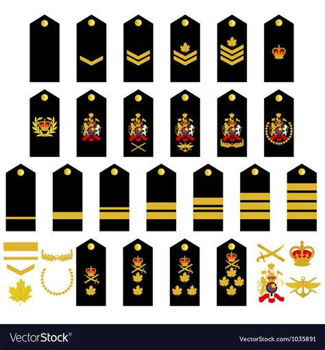 Canadian Army Insignia Royalty Free Vector Image