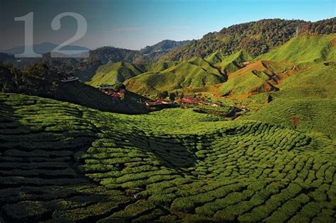 It the below essays on holiday you will learn a lot of things related to holiday. Afternoon tea and scones - Cameron Highlands, Pahang ...