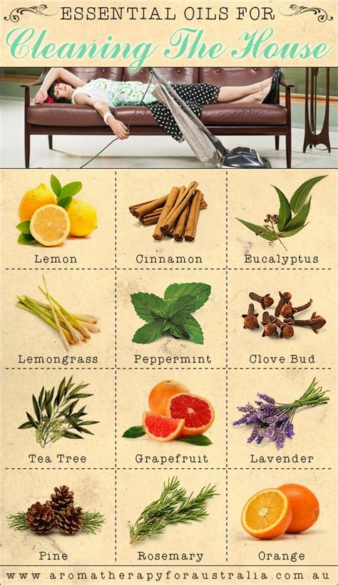 Aromatherapy For Australia 12 Essential Oils For Cleaning The House
