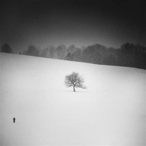 Winter Minimal Zoltan Bekefy Photography Minimalistic Gallery