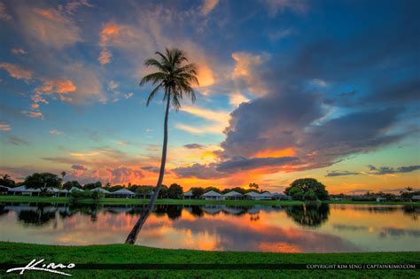 Browse 105,853 coconut palm tree stock photos and images available, or search for coconut palm tree isolated to find more great stock photos and pictures. Coconut Tree at Lake During Sunset