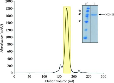 Iucr Expression Purification Crystallization And Preliminary X Ray