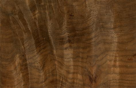 Caucasus Chestnut Wood Texture Id16041 Cadnav