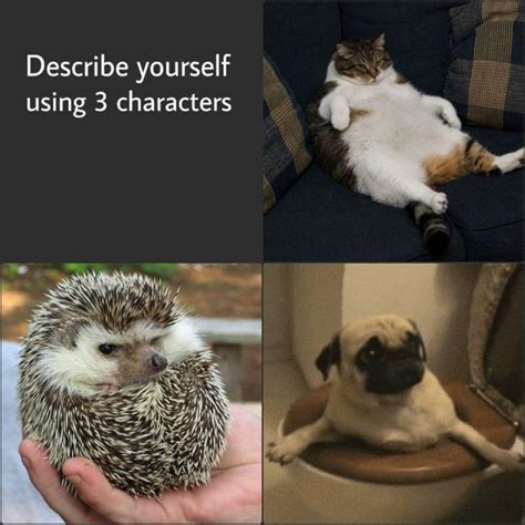 Describe Yourself Using 3 Characters Well Okay