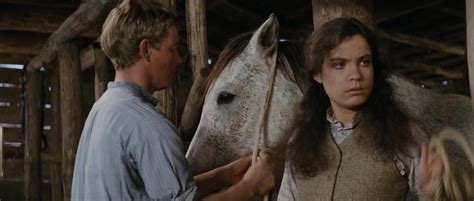 The Man From Snowy River 1982