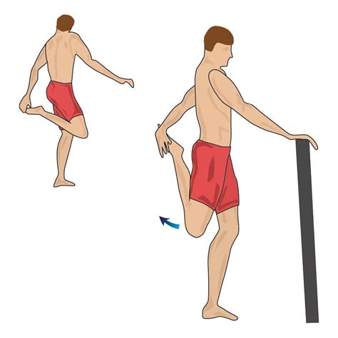 Visual Guide To A Standing Stretch For The Quadriceps Sartorius Muscle Muscle Stretches Quads
