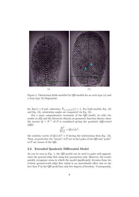 Perfect Fingerprint Orientation Fields By Locally Adaptive Global