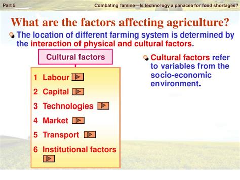 Factors That Affect The Productivity Of Agricultural Tw