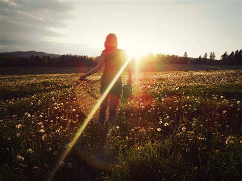 картинки природа лес дорожка трава легкий девушка солнце волосы Восход закат солнца