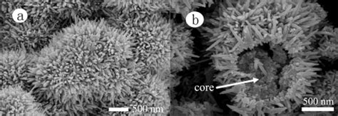 Fesem Images Of The Samples Obtained At The Reaction Stages Of A 3 H