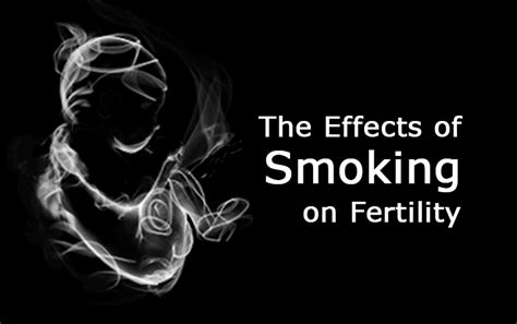 Fertility And Smoking World Fertility Services