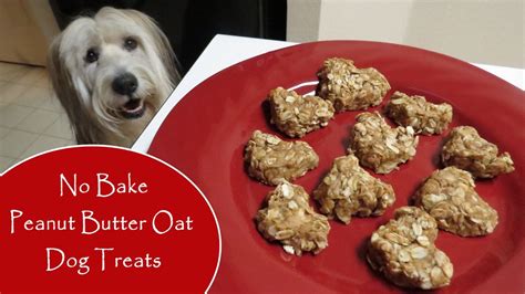 No Bake Peanut Butter Oat Dog Treats Cupcakes And Pupcakes Youtube