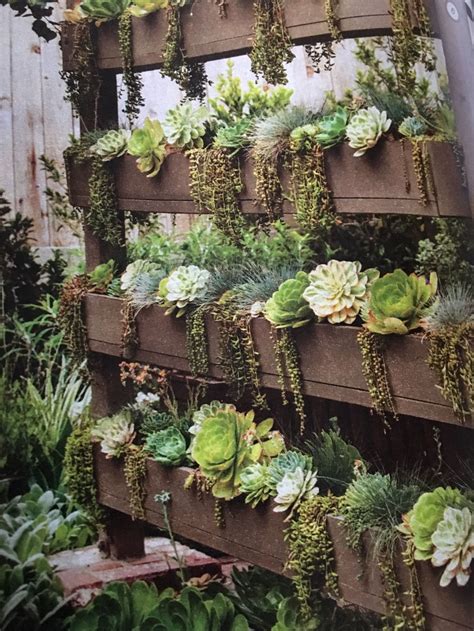 Growing A Vertical Wall Garden Of Succulents Living