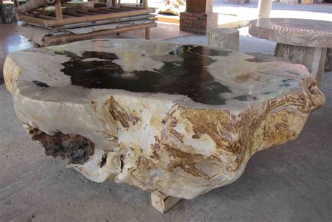 Amazon's choice for garden stones. IndoGemstone: Petrified Wood Table