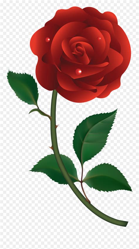 Clip Art Roses Red Rose Vector Free Download Png Download 5502101