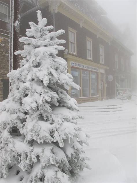 Love Winter And The Snow Winter Scenes West Virginia Virginia Usa