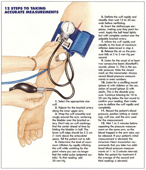 How To Measure Blood Pressure The Cuff Should Be Placed On The Arm At