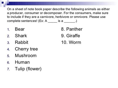 Producers, Consumers, And Decomposers