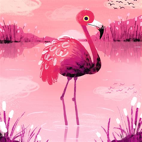Flamingo Alicia Más Tropical Graphisme Illustration Art Dessin