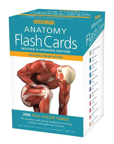 Complete Anatomy Flashcards Pdf Anatomy Flashcards Flashcards Medical