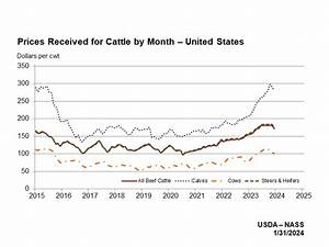 Cattle Prices Chart Frudgereport363 Web Fc2 Com
