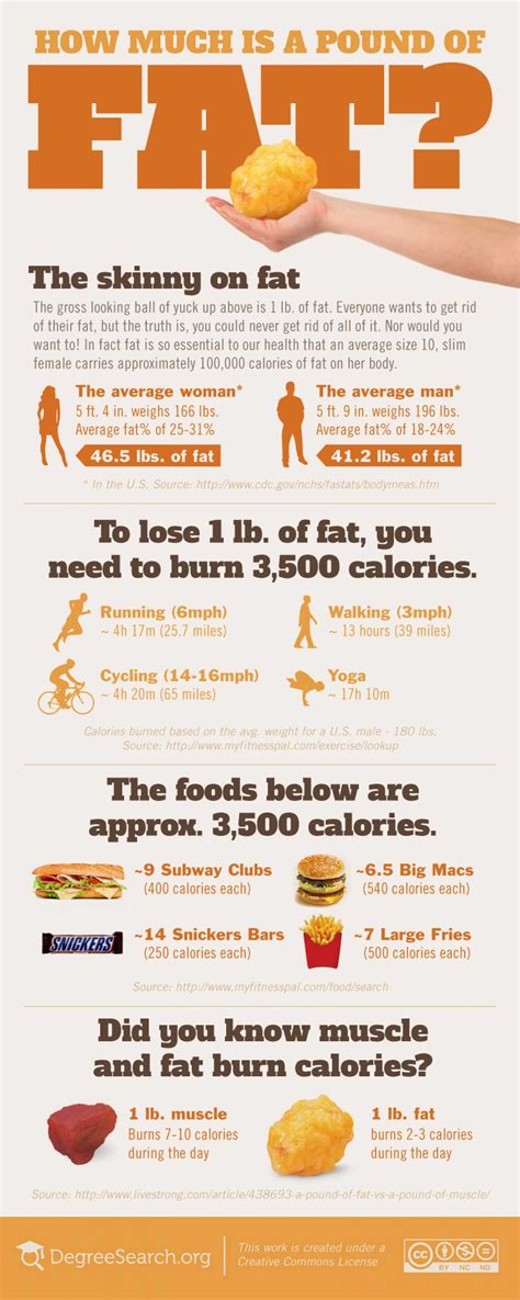 25 A Pound Of Fat 37 Simple Weight Loss Infographics