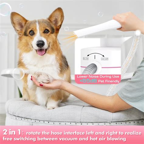 ENERTWIST Pet Grooming Kit Review - Unveiling Dog Secrets: Elevate Your