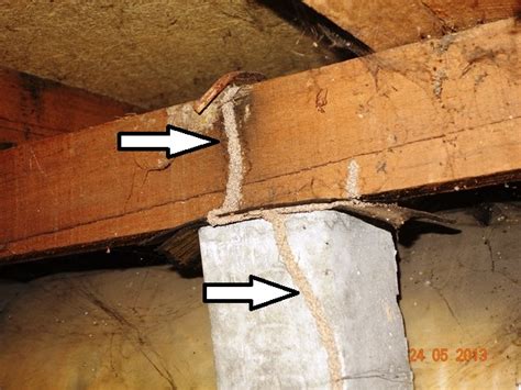 Maps • melbourne • construction expertise and technical supervision. Building Inspection Heatherton - Termites - Mr Inspector