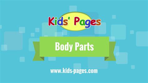 parts  body vocabulary youtube