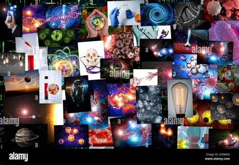Gigantesco Collage De Educación Científica Con Imágenes De Biología
