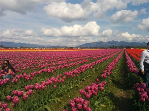 Rev patrick mcguire sac beagle bay, balgo, wandering, wa and diocese of ballarat, victoria: o.jpg