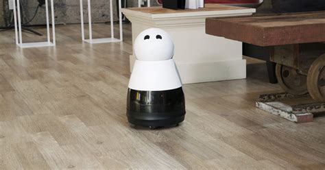 Companion Robots Are Here. Just Don't Fall in Love With Them | WIRED