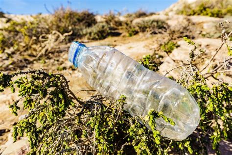 Plastic Empty Water Bottle Abandoned On Nature Stock Image Image Of Garbage Polluted