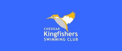 Cheddar Kingfishers Swimming Club Cheddar