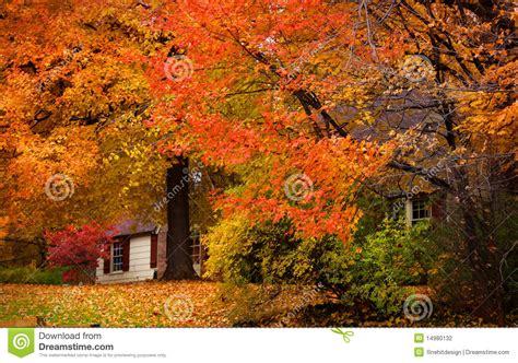 Beautiful Autumn Landscape Stock Photography Image 14980132