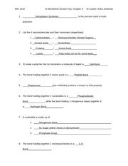 Download file pdf section 11 4 meiosis answer. 11.4 Meiosis Worksheet Answer Key Pdf + My PDF Collection 2021