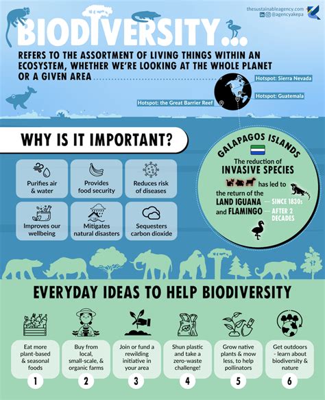 What Does Biodiversity Mean Why Is Biodiversity Important