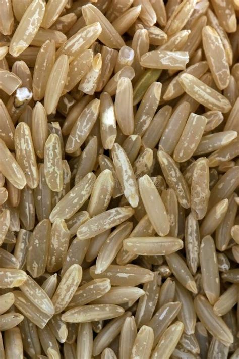 Long Grain Rice Stock Image Image Of Texture Macro Rice 139045
