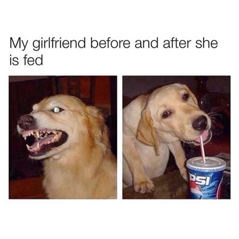 My Girlfriend Before And After She Is Fed Funny