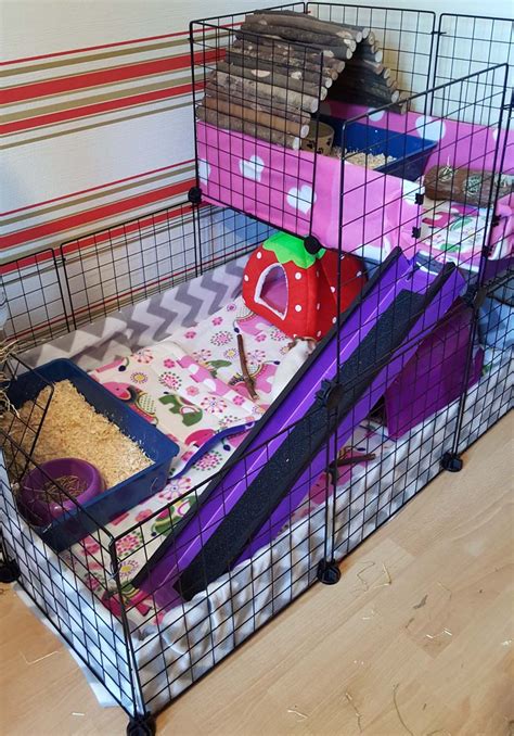 Gallery C C Guinea Pig Cages Mesh And Grid Cages For Pets Artofit
