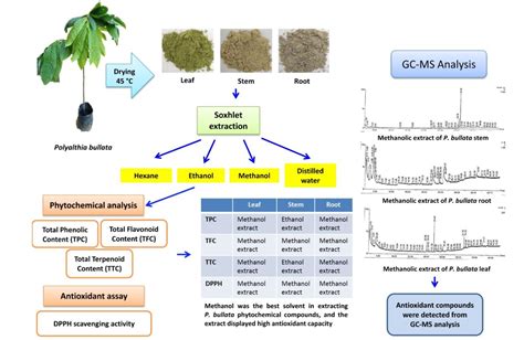 solvent extraction and its effect on phytochemical yield and antioxidant capacity of woody
