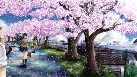 1600x1000 cherry blossoms sakura hd wallpapers| hd wallpapers ,backgrounds. Anime Cherry Blossom Wallpaper (72+ images)