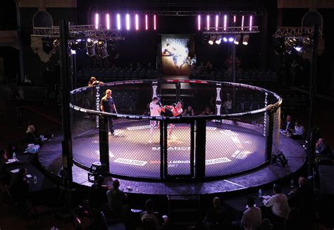 We did not find results for: Injuries a growing concern in MMA, other combat sports