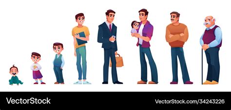 Human Age Man Growing Up Stages From Kid To Old Vector Image