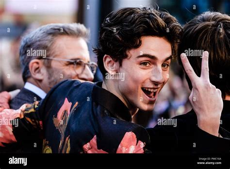 Timothee Chalamet High Resolution Stock Photography And Images Alamy
