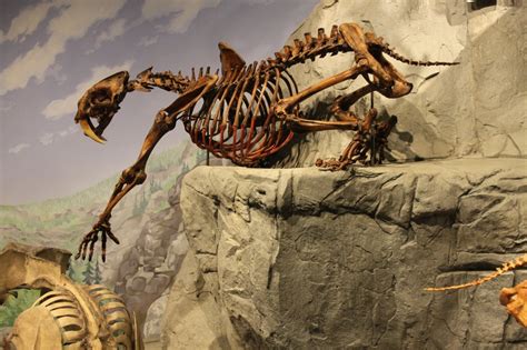 Thanksgiving point institute is a 501(c)(3) nonprofit farm, garden, and museum complex that draws upon the natural world to cultivate transformative family learning. MUSEUM OF ANCIENT LIFE, DINOSAUR MUSEUM AT THANKSGIVING ...