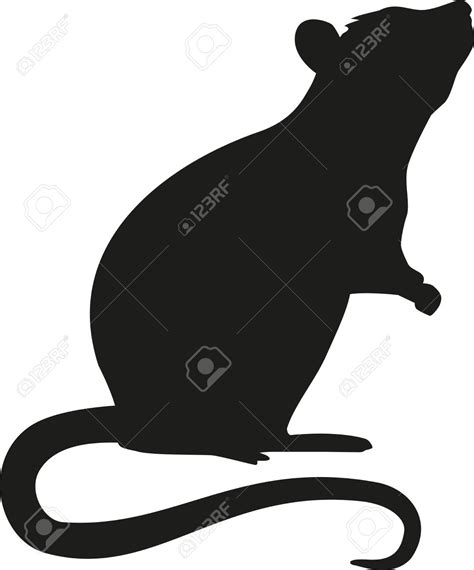 Evil Rat Drawing At Getdrawings Free Download
