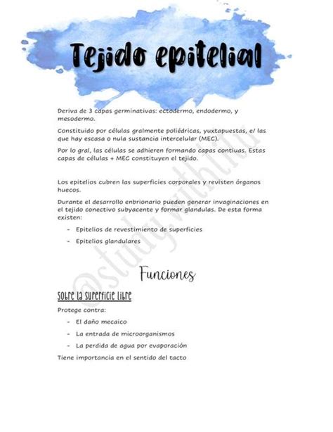 Tejido Epitelial Y Glandular Udocz The Best Porn Website