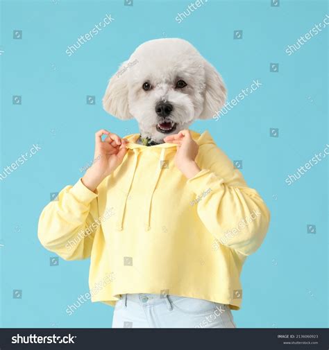 Dog Head Human Body Images Browse 1655 Stock Photos And Vectors Free